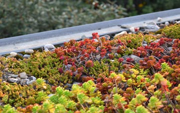 the cost of South Stanley green roof installation