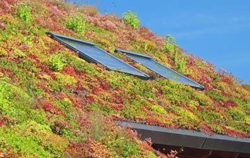 South Stanley living roof systems
